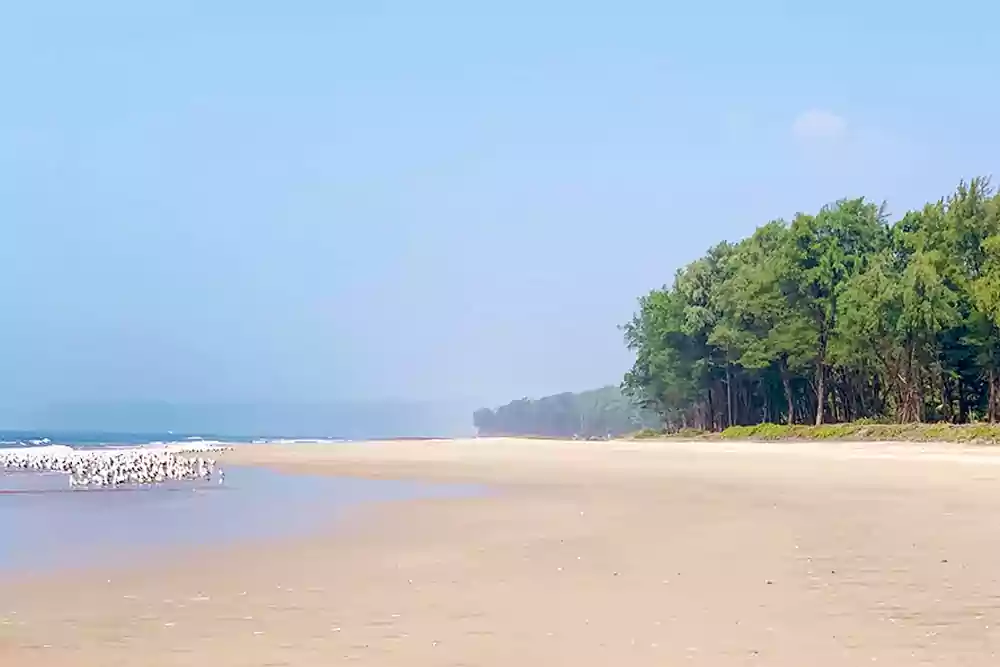 finest-beach-destination-resort-in-guhagar-konkan