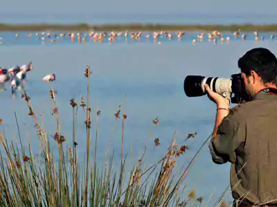 bird-watching-in-guhagar-konkan